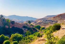 دعوة للمتطوعين في سنجار